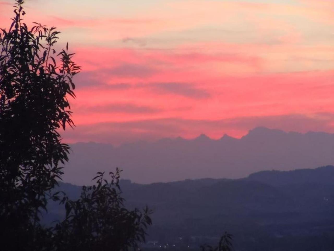La Barberina Apartment Ozzano Monferrato Bagian luar foto